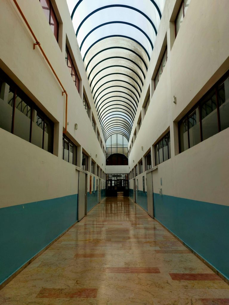 sahmaran kütahya